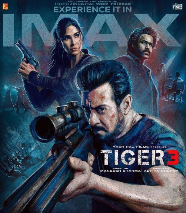 Tiger 3 movie